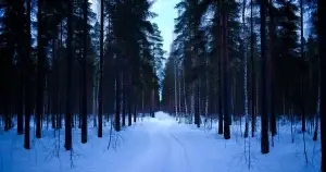 True Crime suomeksi – miksi rikostarinat vangitsevat meidät