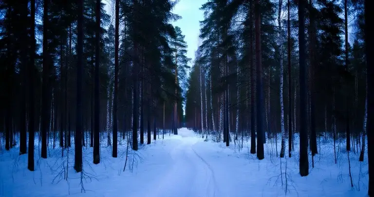 True Crime suomeksi – miksi rikostarinat vangitsevat meidät