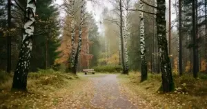 Parhaat suomalaiset true crime -podcastit uhrien ja omaisten näkökulmasta