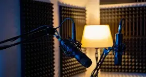 Ammattina rikos -podcast: Kunnas & Puonti tarkastelussa